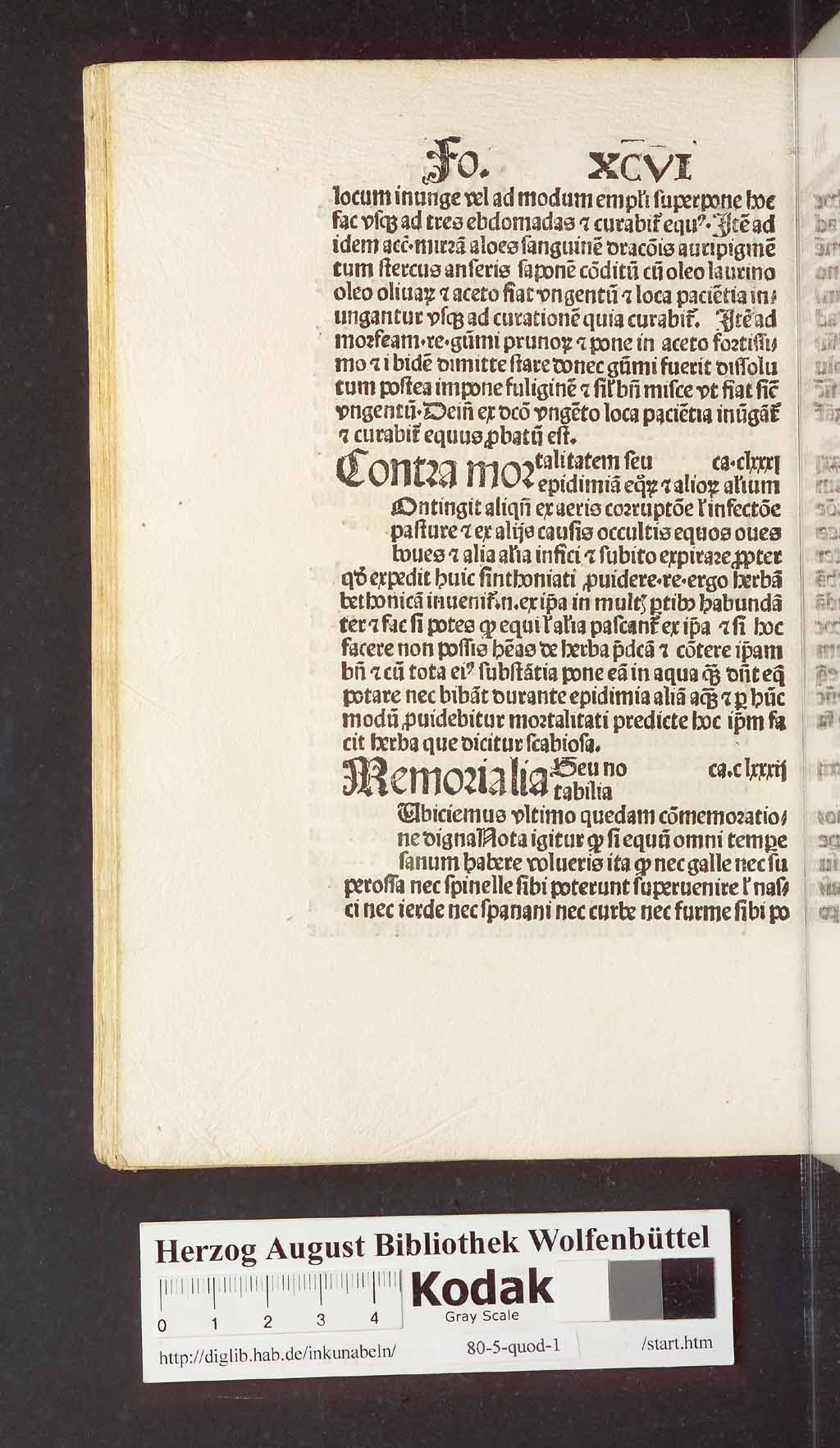 http://diglib.hab.de/inkunabeln/80-5-quod-1/00204.jpg