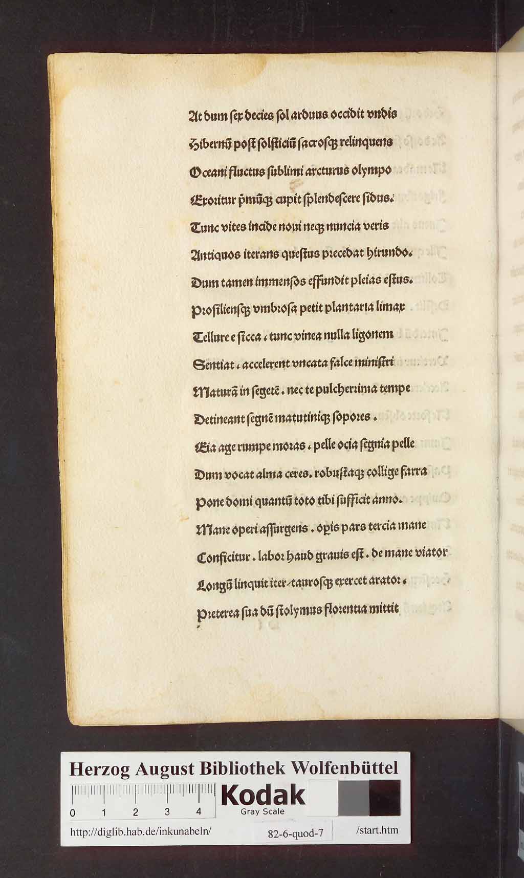 http://diglib.hab.de/inkunabeln/82-6-quod-7/00038.jpg