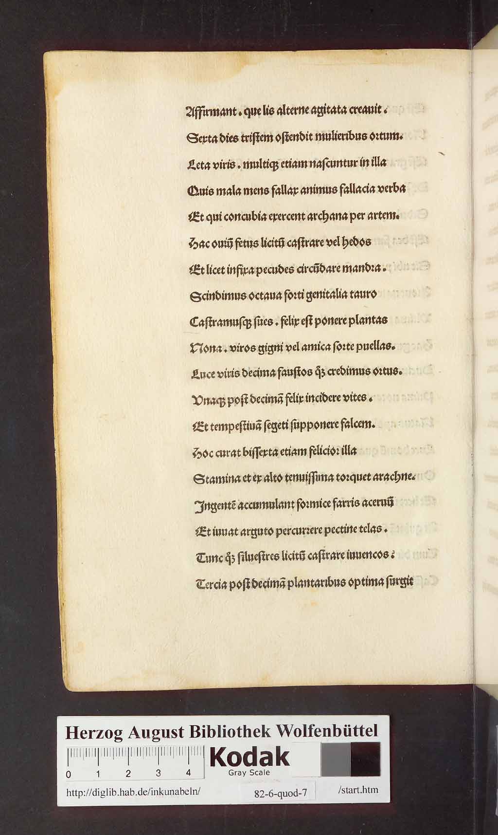 http://diglib.hab.de/inkunabeln/82-6-quod-7/00050.jpg