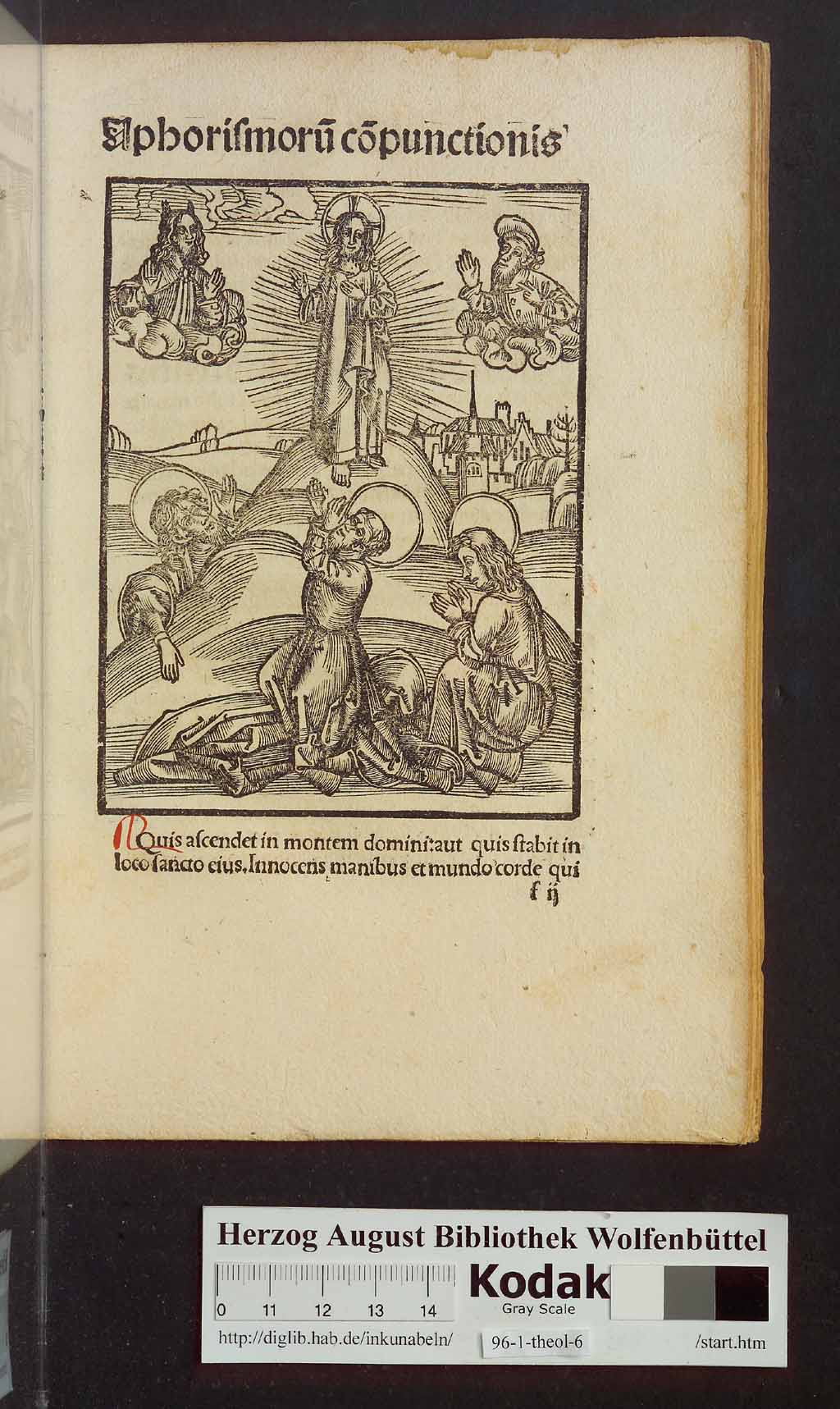 http://diglib.hab.de/inkunabeln/96-1-theol-6/00043.jpg