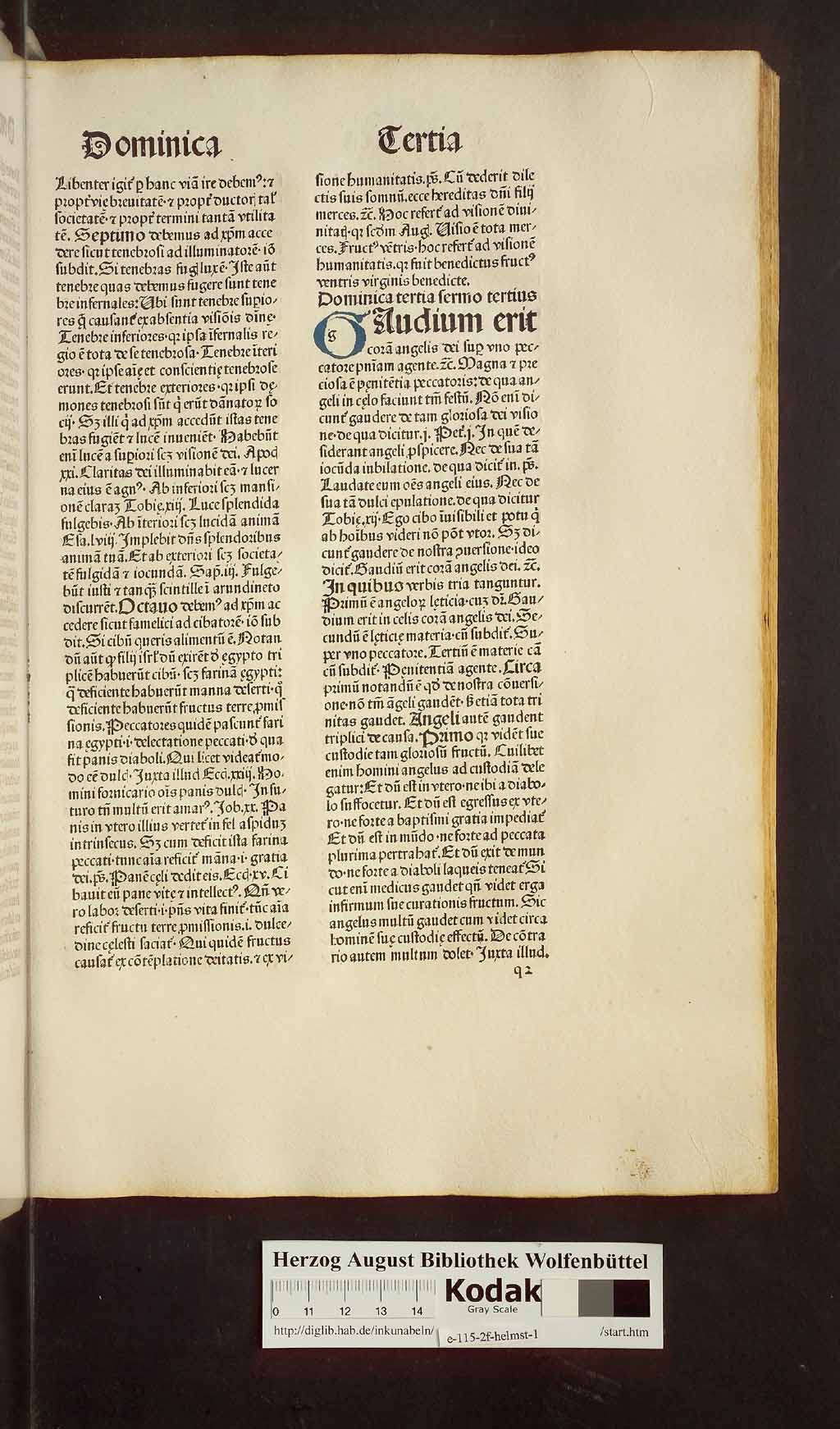 http://diglib.hab.de/inkunabeln/e-115-2f-helmst-1/00263.jpg