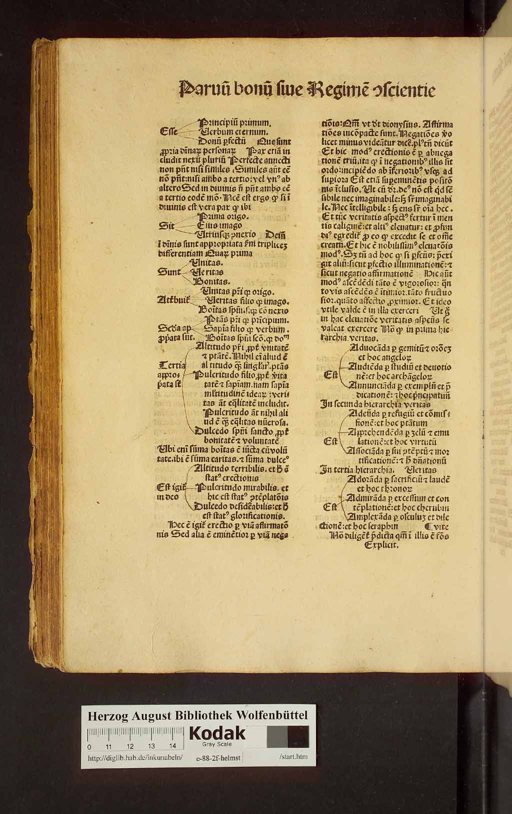 http://diglib.hab.de/inkunabeln/e-88-2f-helmst/00226.jpg