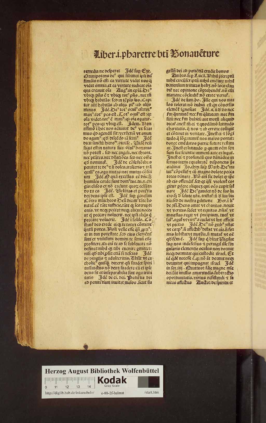 http://diglib.hab.de/inkunabeln/e-88-2f-helmst/00246.jpg