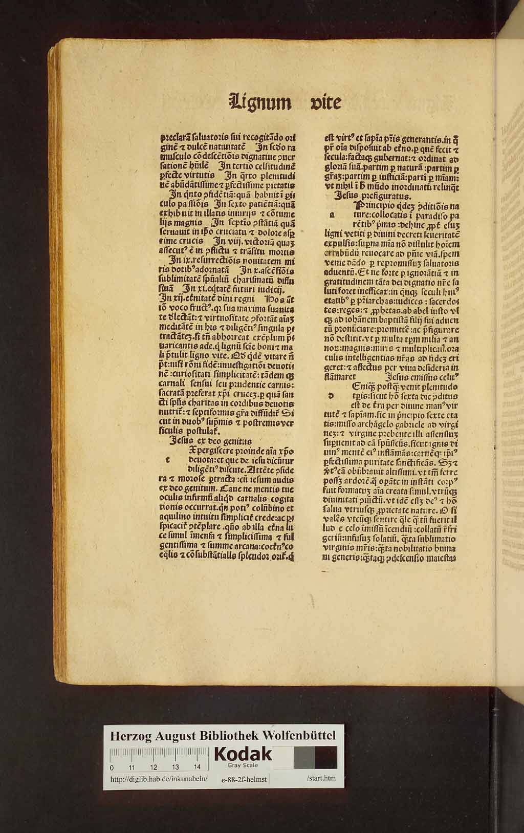 http://diglib.hab.de/inkunabeln/e-88-2f-helmst/00476.jpg