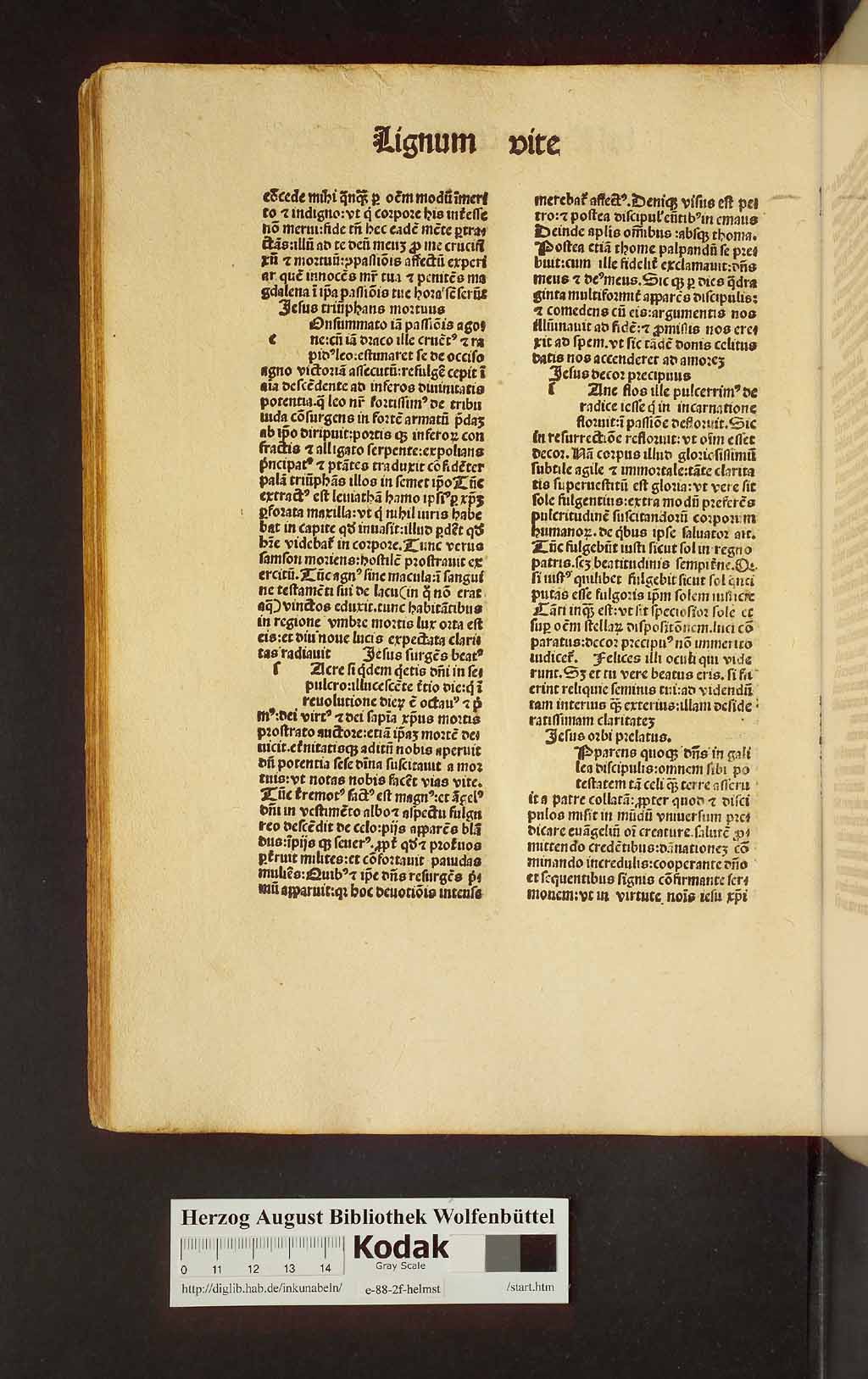 http://diglib.hab.de/inkunabeln/e-88-2f-helmst/00486.jpg