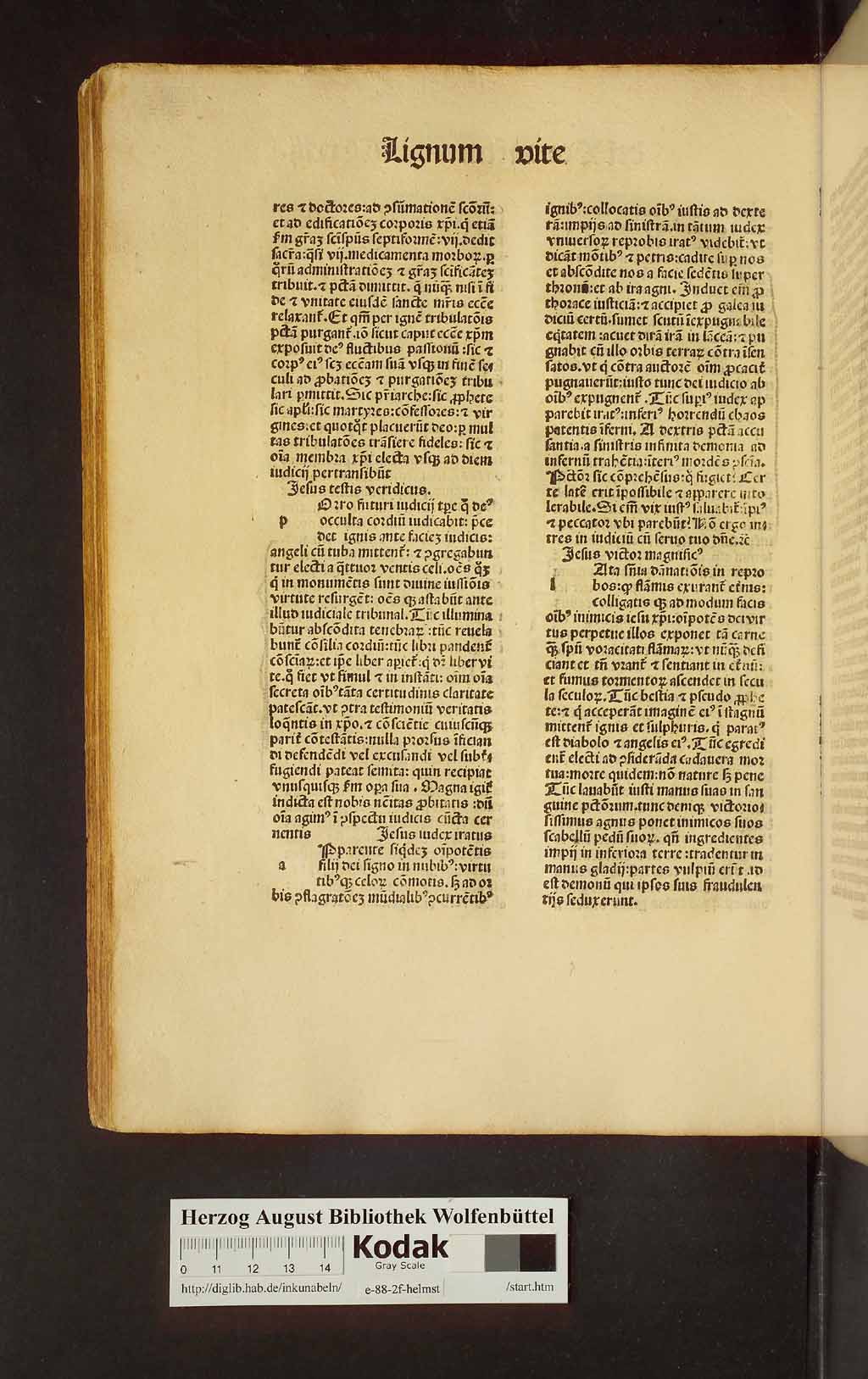 http://diglib.hab.de/inkunabeln/e-88-2f-helmst/00488.jpg