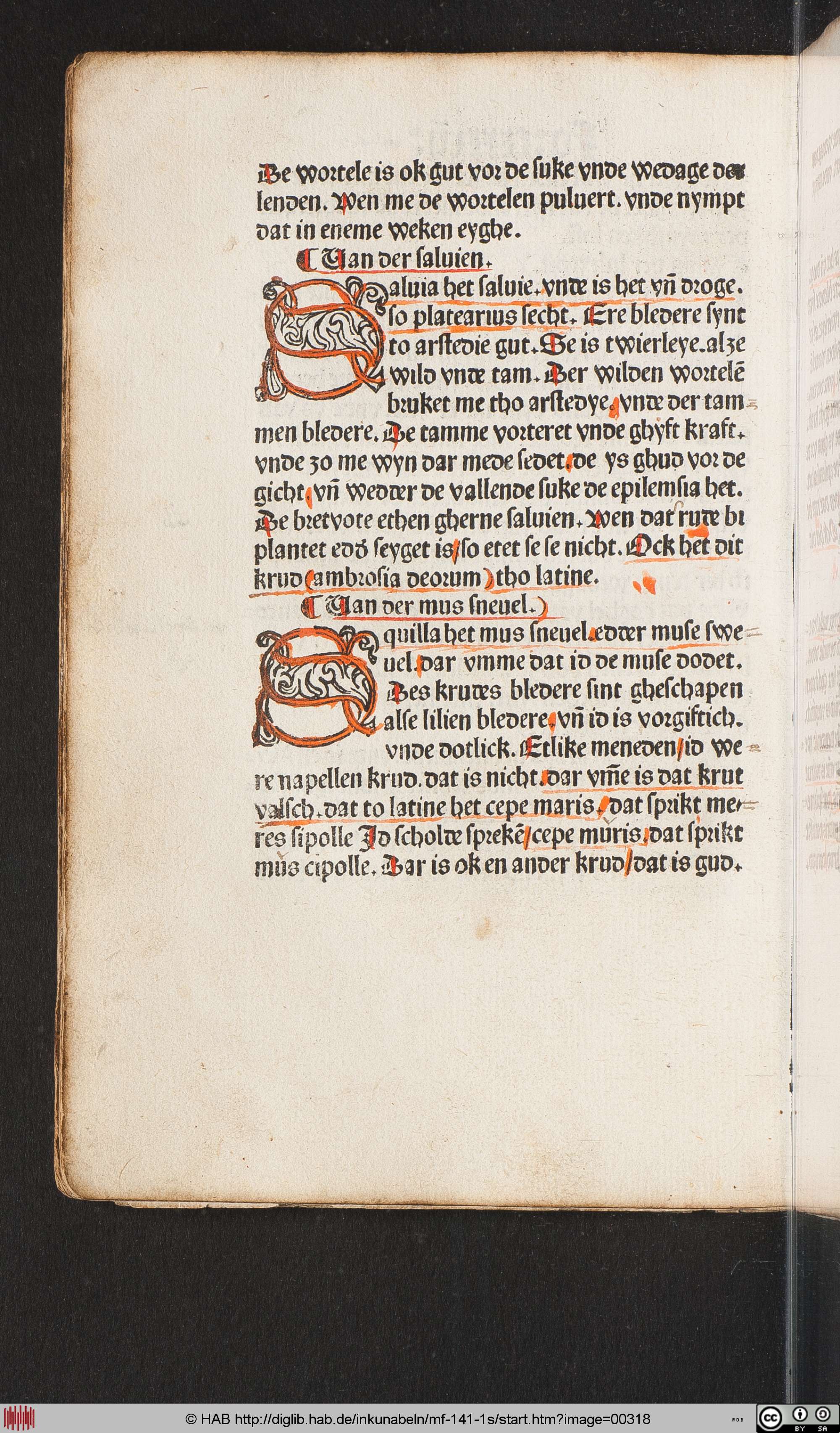 http://diglib.hab.de/inkunabeln/mf-141-1s/max/00318.jpg