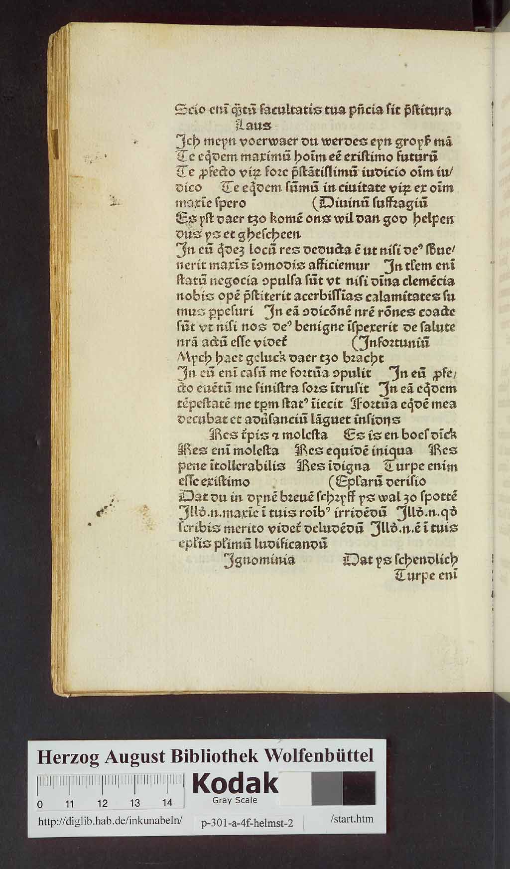 http://diglib.hab.de/inkunabeln/p-301-a-4f-helmst-2/00132.jpg