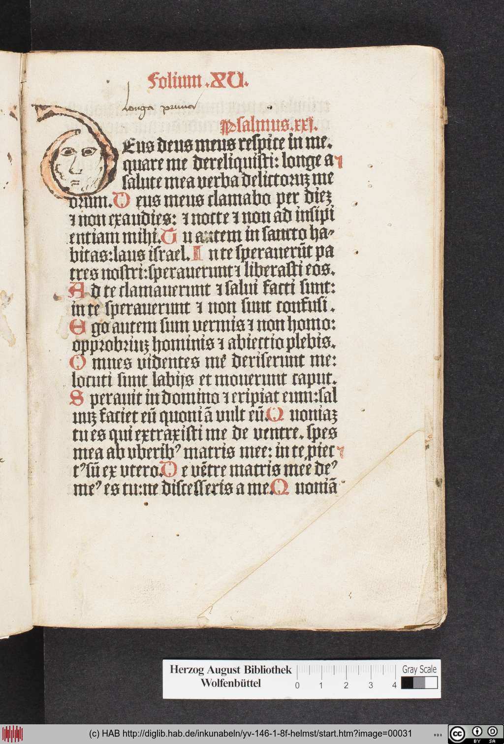 http://diglib.hab.de/inkunabeln/yv-146-1-8f-helmst/00031.jpg