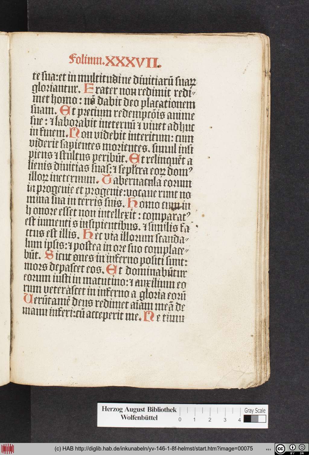 http://diglib.hab.de/inkunabeln/yv-146-1-8f-helmst/00075.jpg