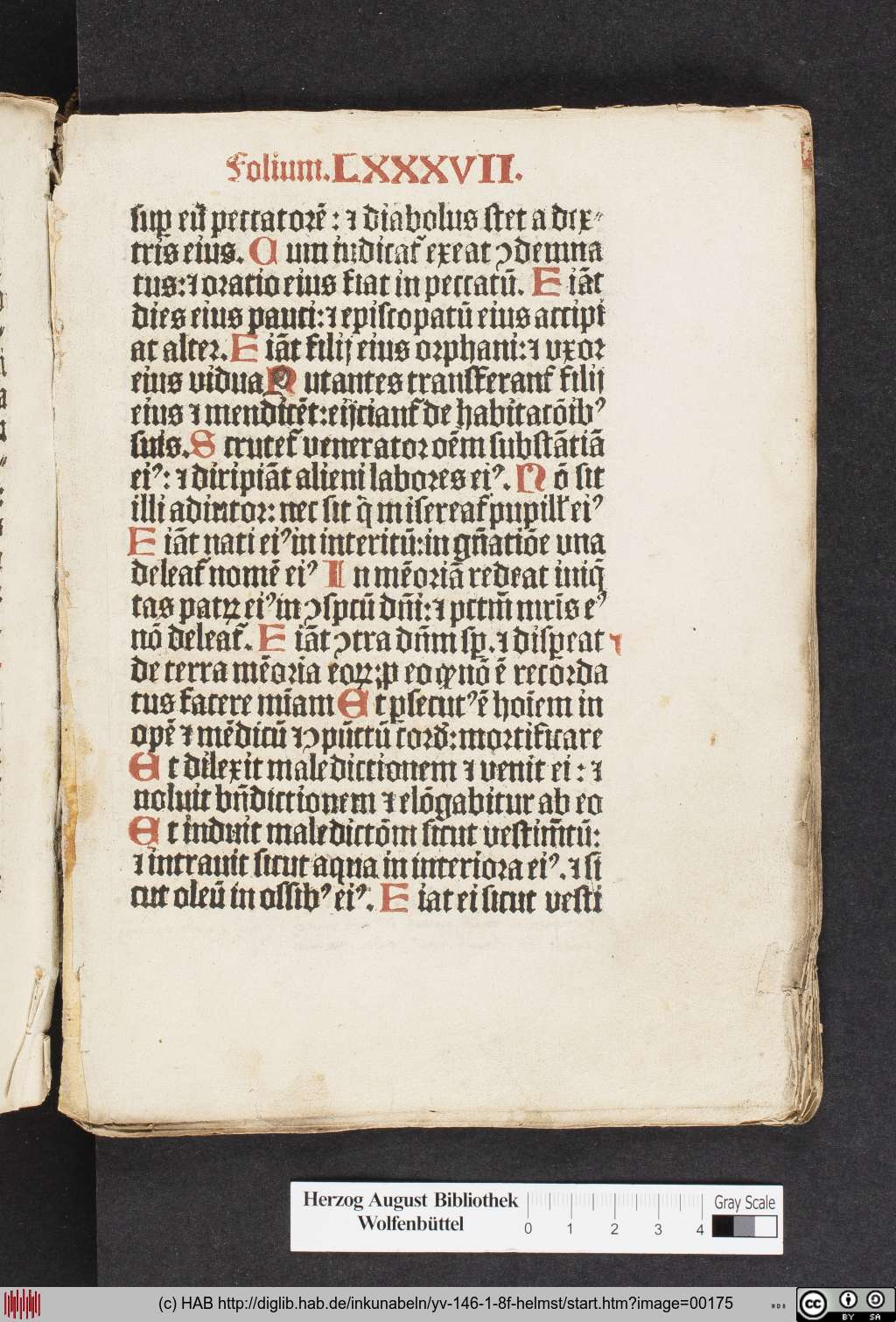 http://diglib.hab.de/inkunabeln/yv-146-1-8f-helmst/00175.jpg