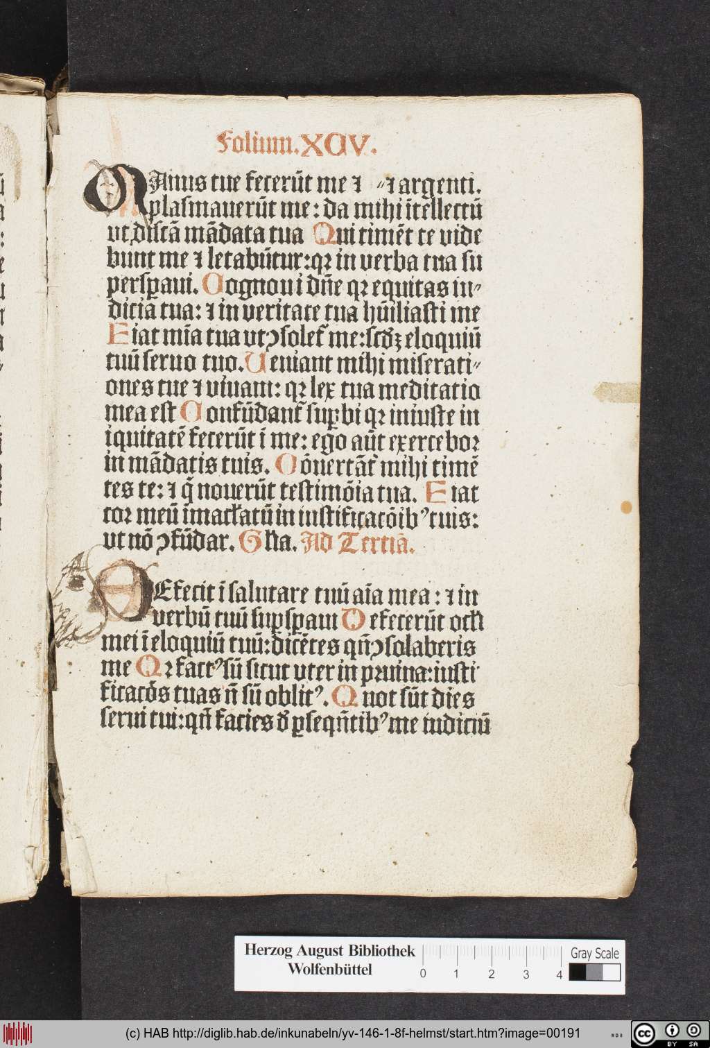 http://diglib.hab.de/inkunabeln/yv-146-1-8f-helmst/00191.jpg