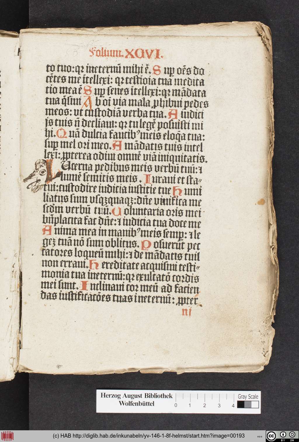 http://diglib.hab.de/inkunabeln/yv-146-1-8f-helmst/00193.jpg