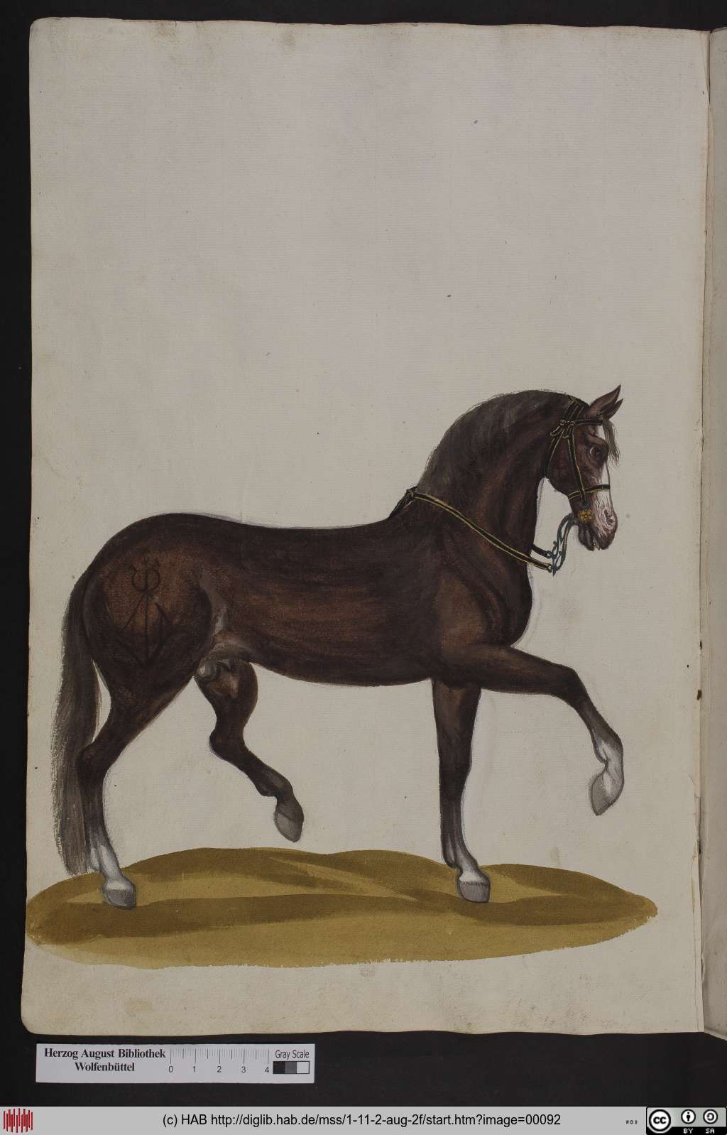 http://diglib.hab.de/mss/1-11-2-aug-2f/00092.jpg