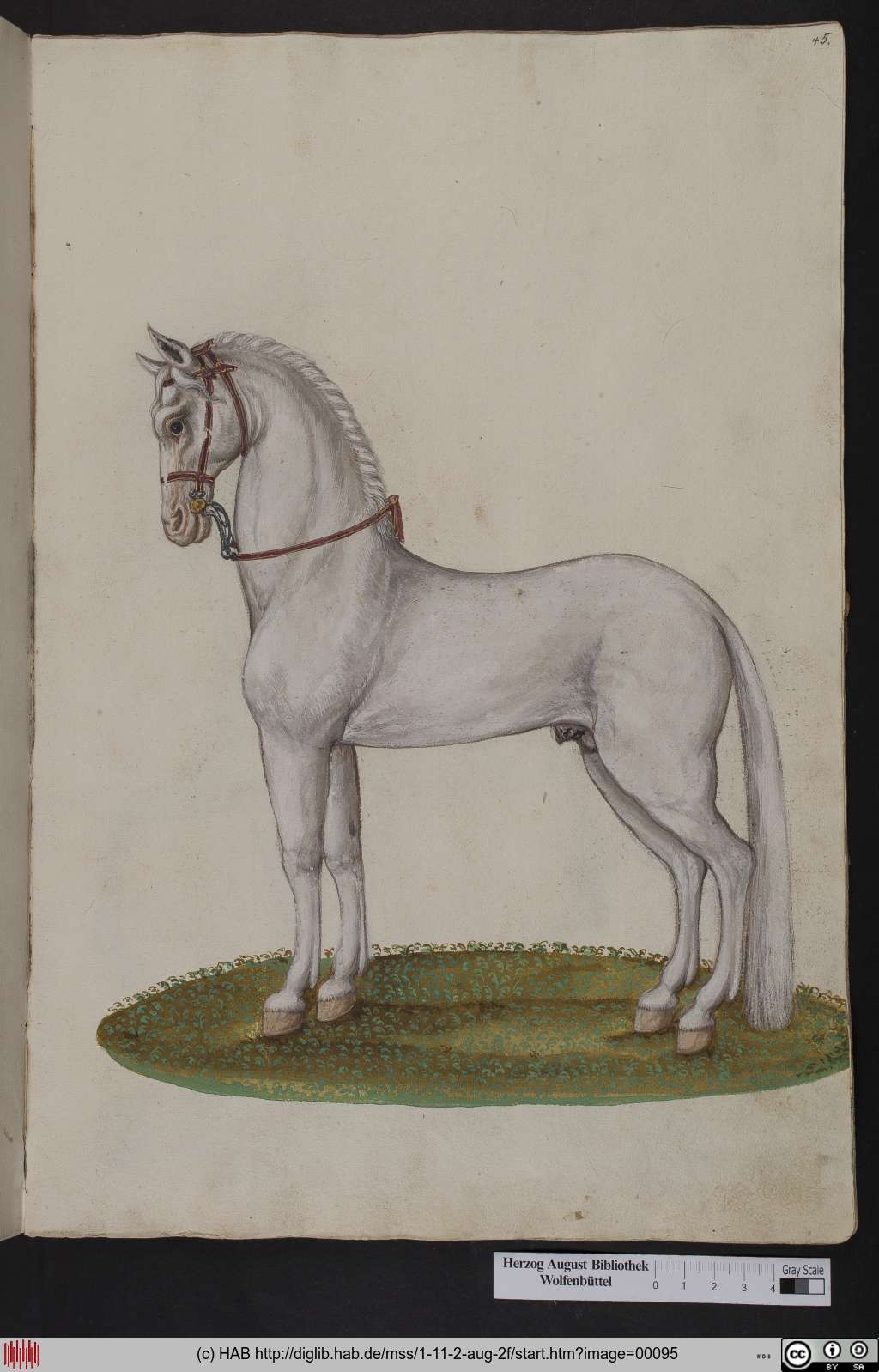http://diglib.hab.de/mss/1-11-2-aug-2f/00095.jpg
