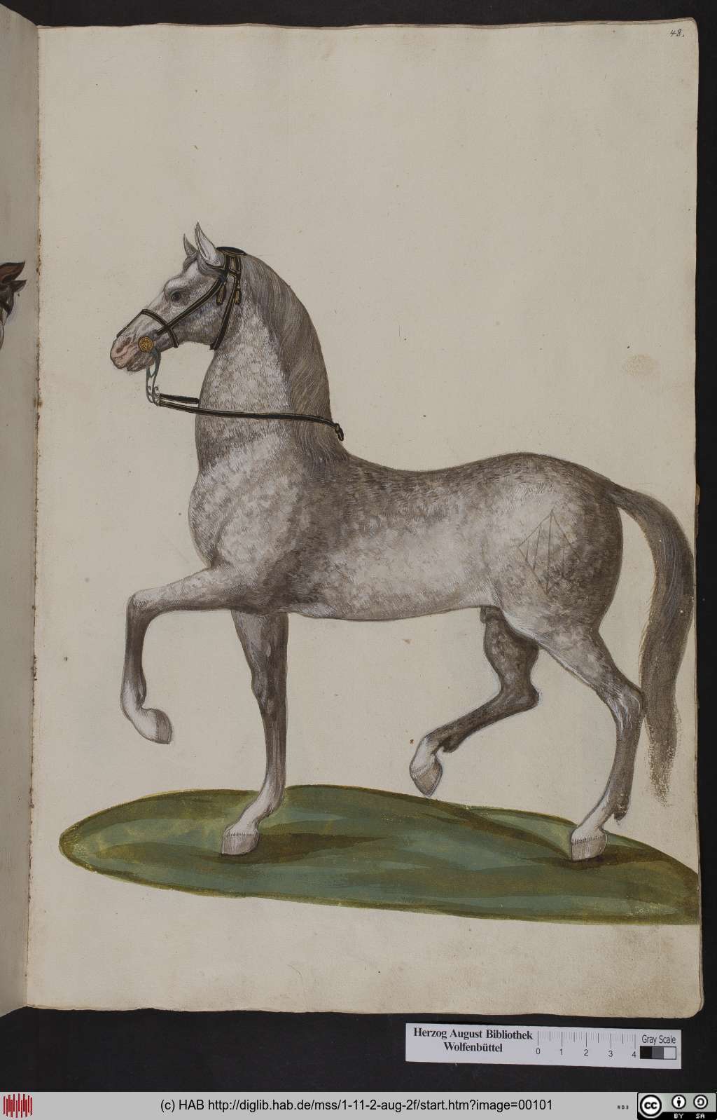 http://diglib.hab.de/mss/1-11-2-aug-2f/00101.jpg