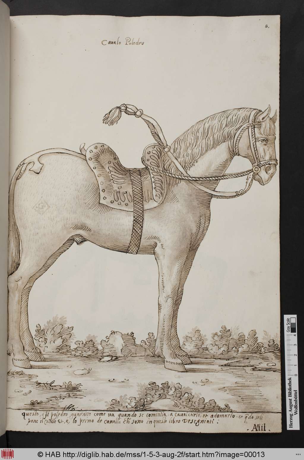 http://diglib.hab.de/mss/1-5-3-aug-2f/00013.jpg