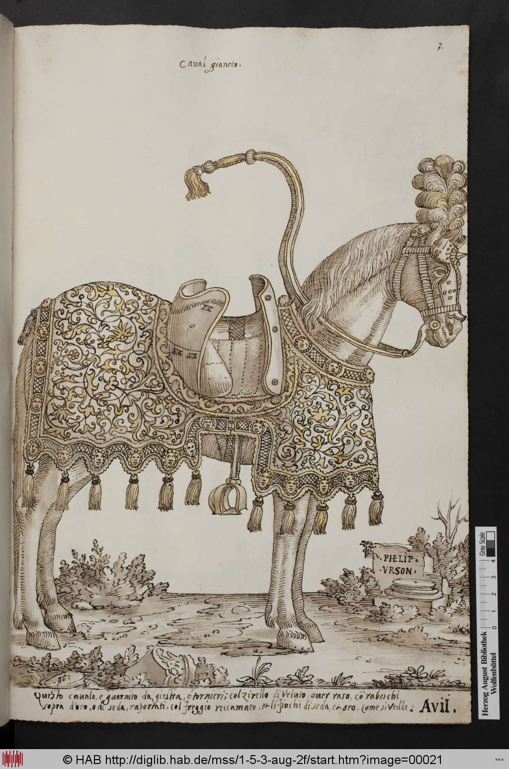 http://diglib.hab.de/mss/1-5-3-aug-2f/00021.jpg