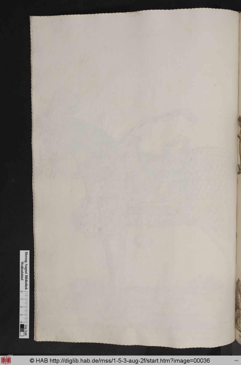 http://diglib.hab.de/mss/1-5-3-aug-2f/00036.jpg