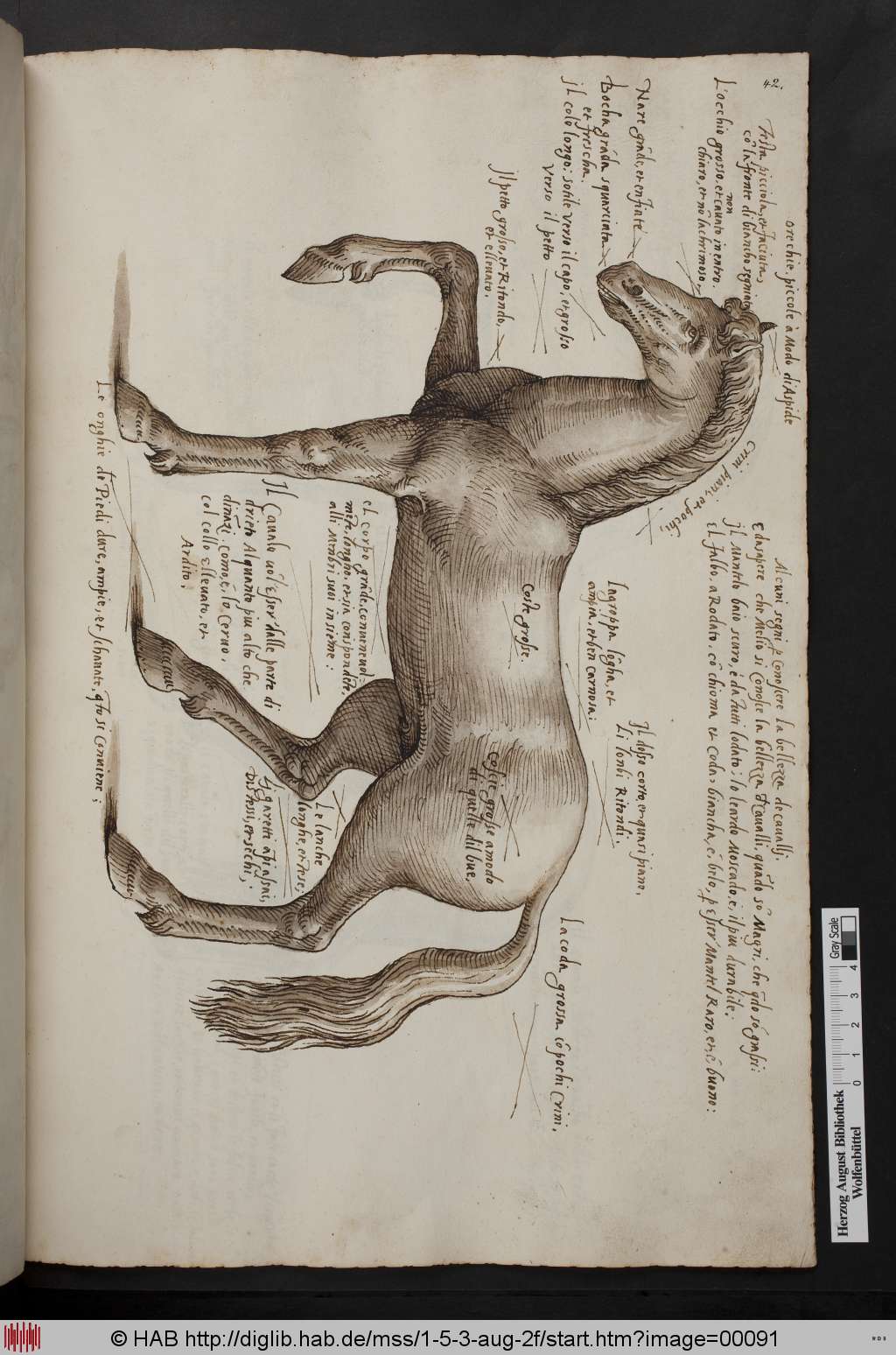 http://diglib.hab.de/mss/1-5-3-aug-2f/00091.jpg