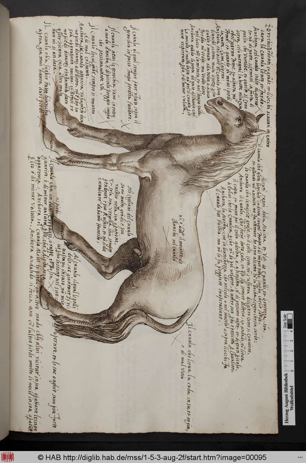 http://diglib.hab.de/mss/1-5-3-aug-2f/00095.jpg