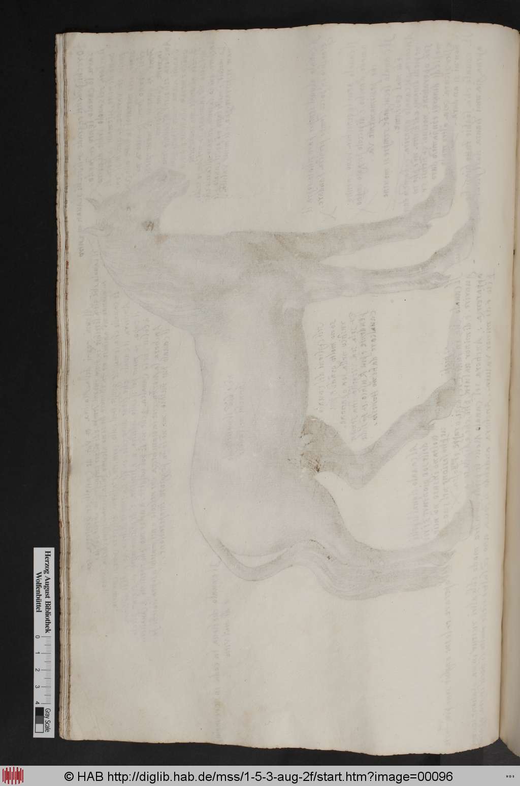 http://diglib.hab.de/mss/1-5-3-aug-2f/00096.jpg