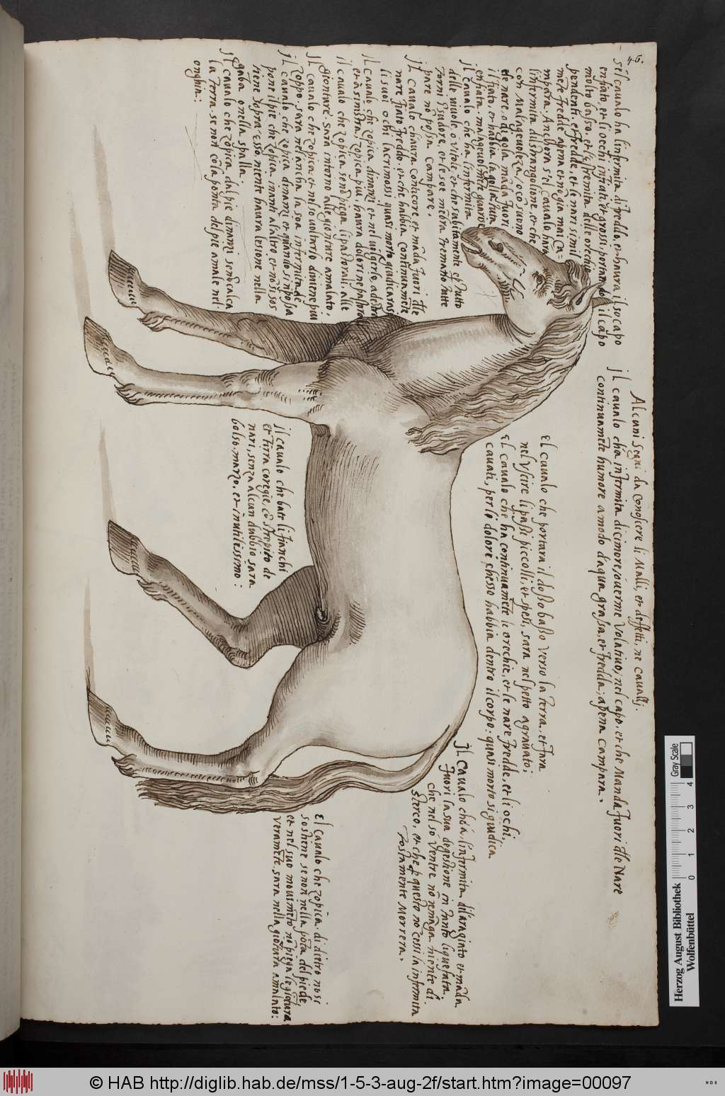 http://diglib.hab.de/mss/1-5-3-aug-2f/00097.jpg