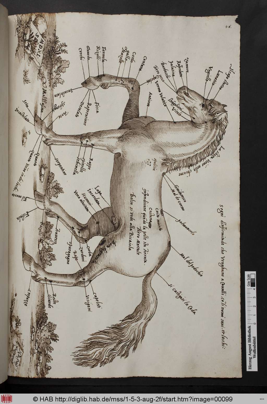 http://diglib.hab.de/mss/1-5-3-aug-2f/00099.jpg