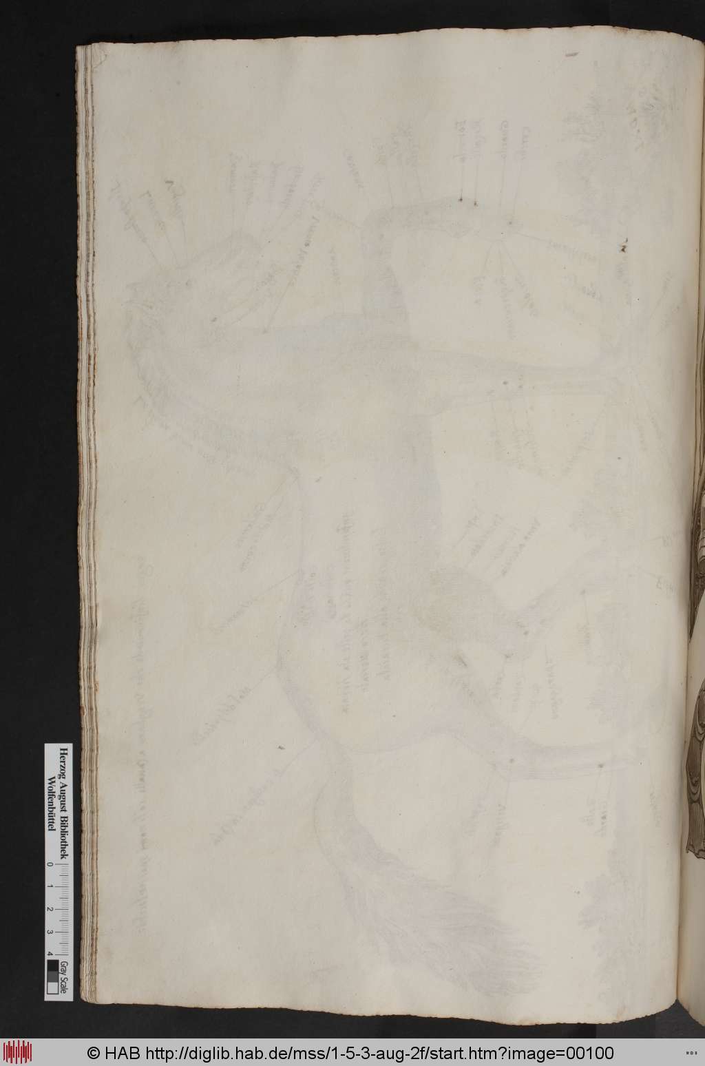http://diglib.hab.de/mss/1-5-3-aug-2f/00100.jpg