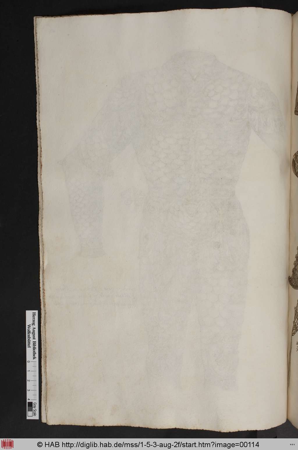 http://diglib.hab.de/mss/1-5-3-aug-2f/00114.jpg