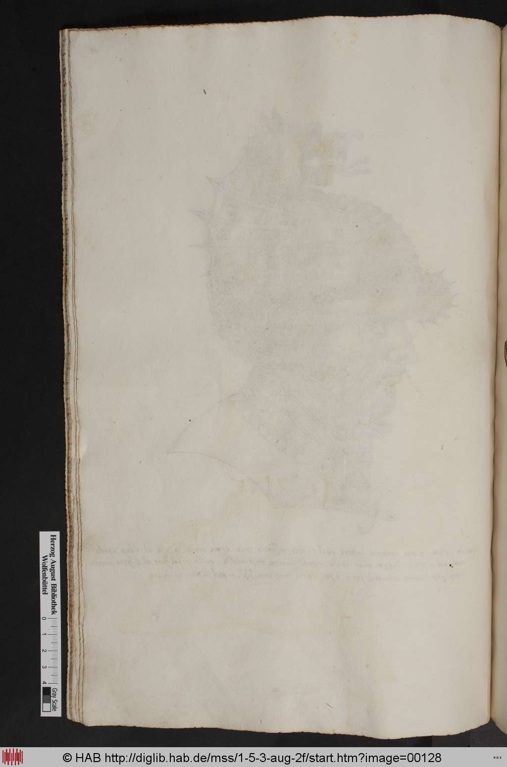 http://diglib.hab.de/mss/1-5-3-aug-2f/00128.jpg