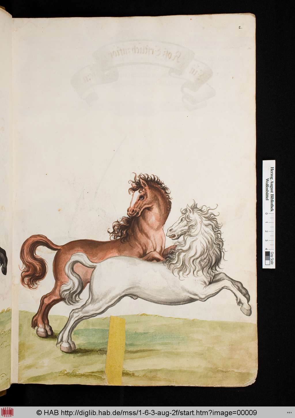 http://diglib.hab.de/mss/1-6-3-aug-2f/00009.jpg