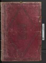 Cod. Guelf. 1.7.5 Aug. 2° — Erklärung vnd Ausweiszung zwaier Schiessen der Stadt Passau — 1577