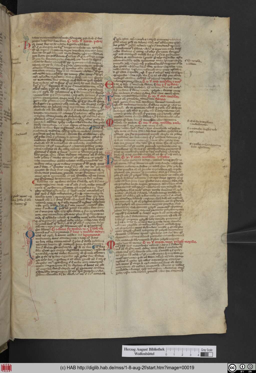 http://diglib.hab.de/mss/1-8-aug-2f/00019.jpg