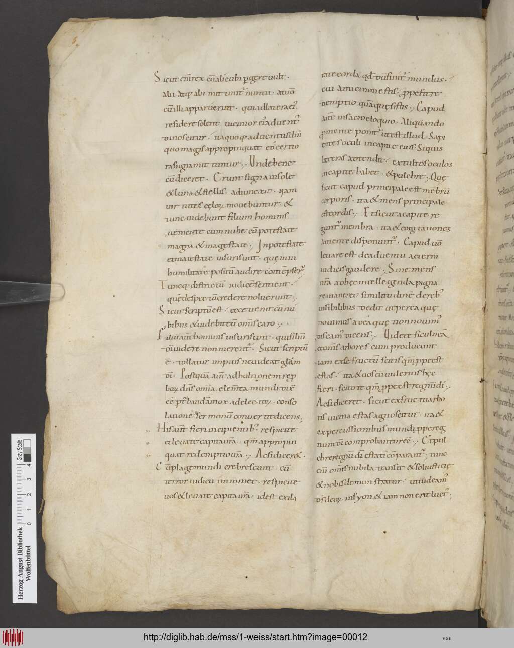 http://diglib.hab.de/mss/1-weiss/00012.jpg