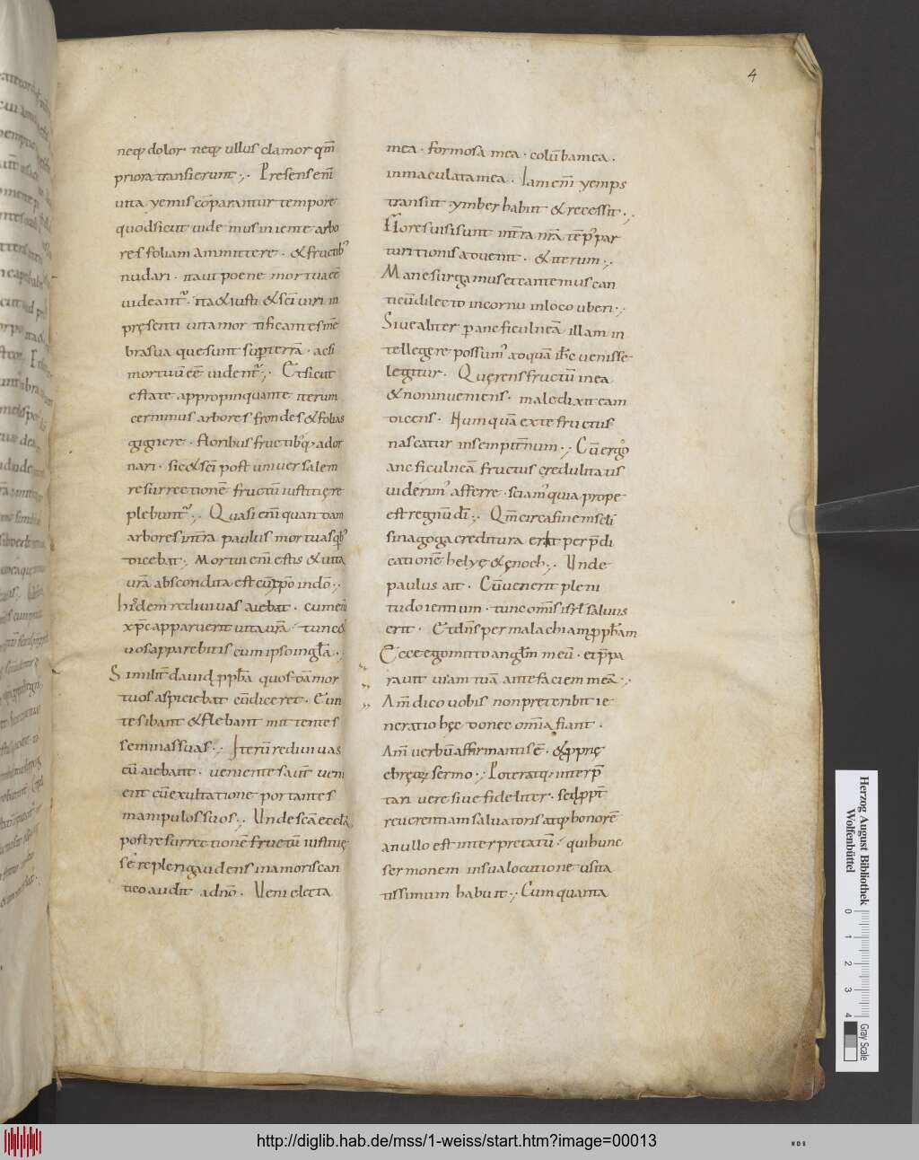 http://diglib.hab.de/mss/1-weiss/00013.jpg