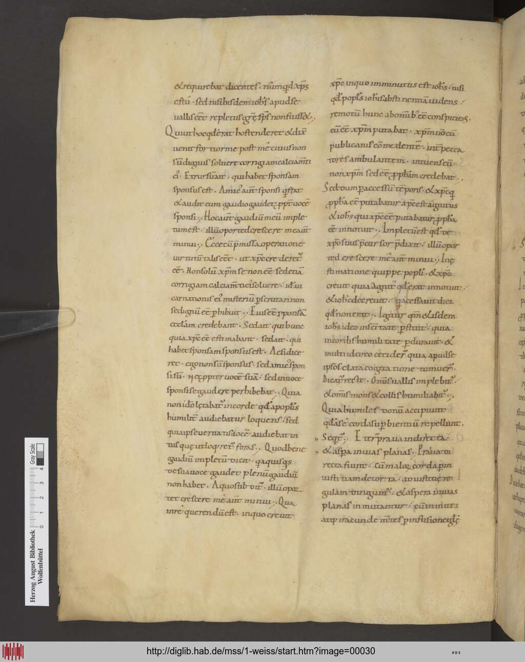 http://diglib.hab.de/mss/1-weiss/00030.jpg