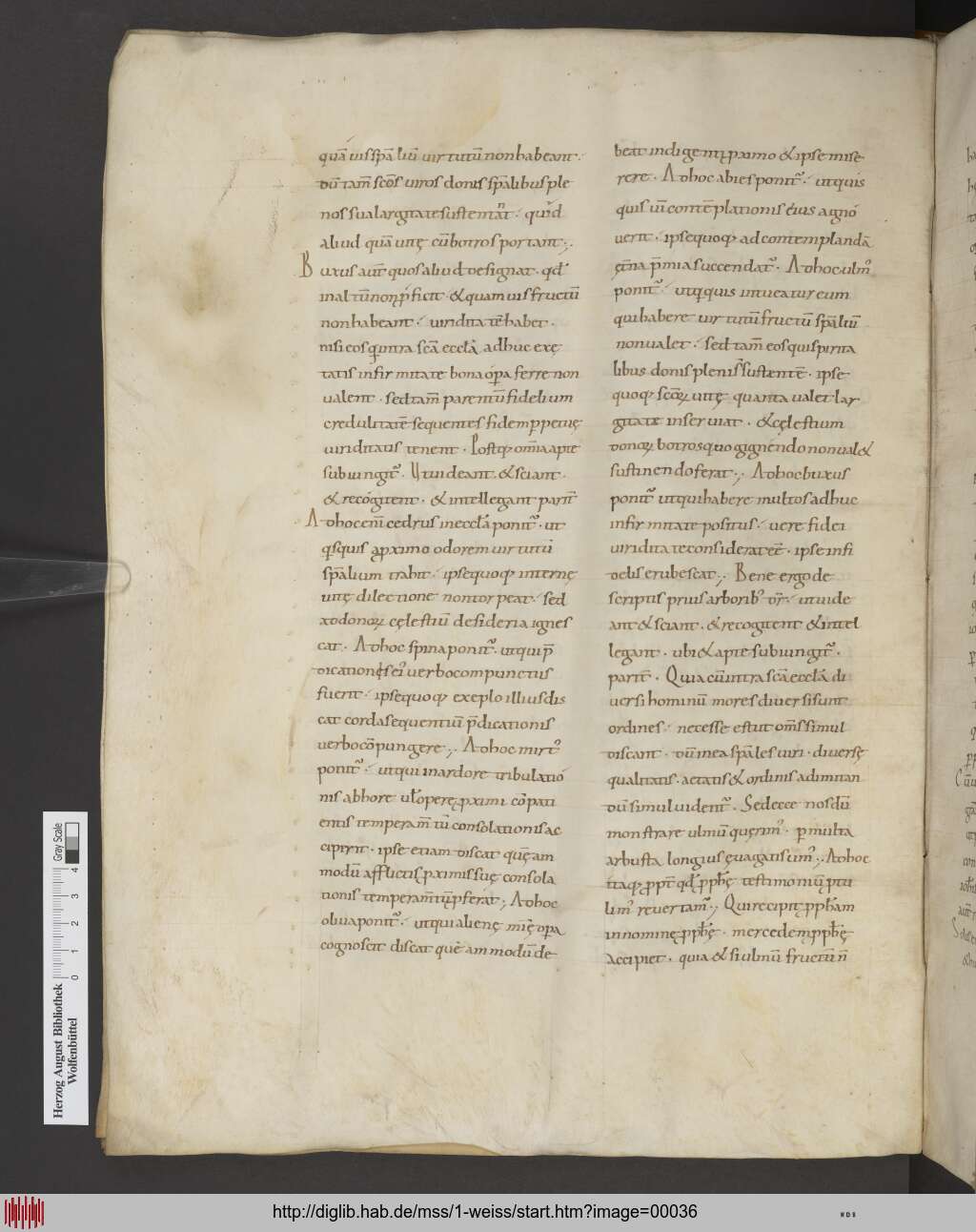 http://diglib.hab.de/mss/1-weiss/00036.jpg