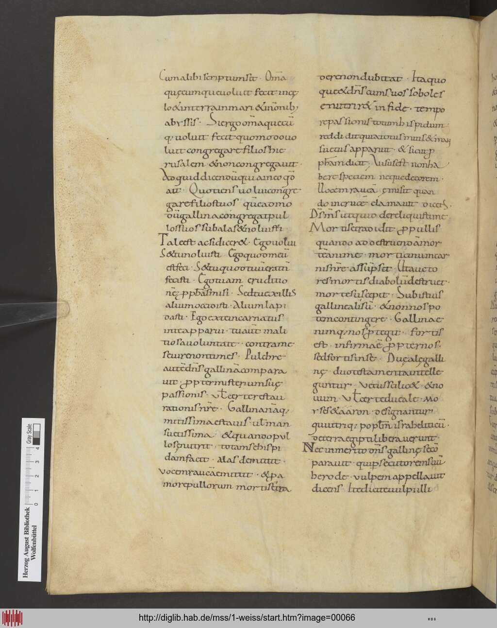 http://diglib.hab.de/mss/1-weiss/00066.jpg