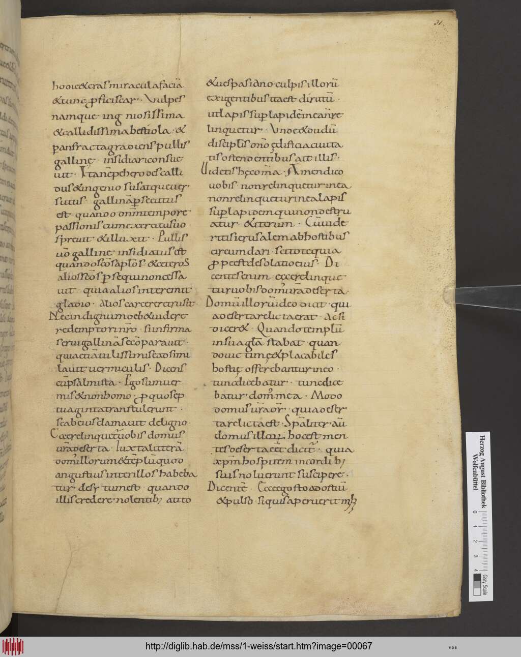 http://diglib.hab.de/mss/1-weiss/00067.jpg
