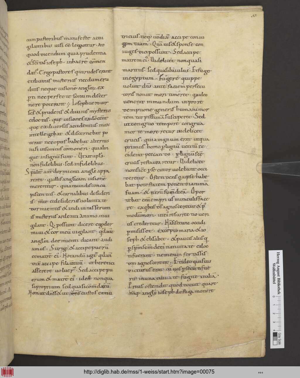 http://diglib.hab.de/mss/1-weiss/00075.jpg