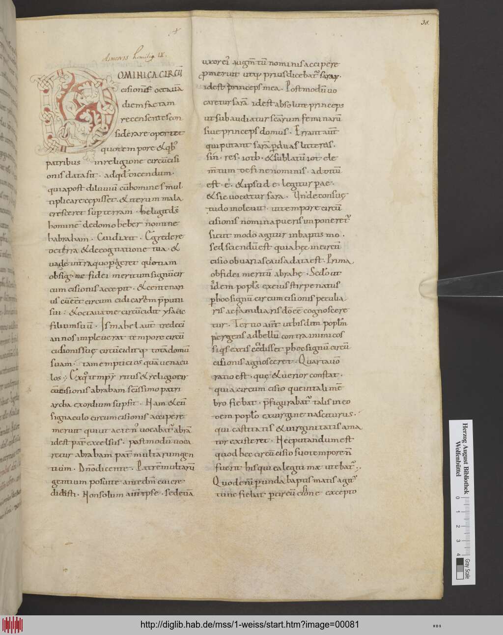 http://diglib.hab.de/mss/1-weiss/00081.jpg