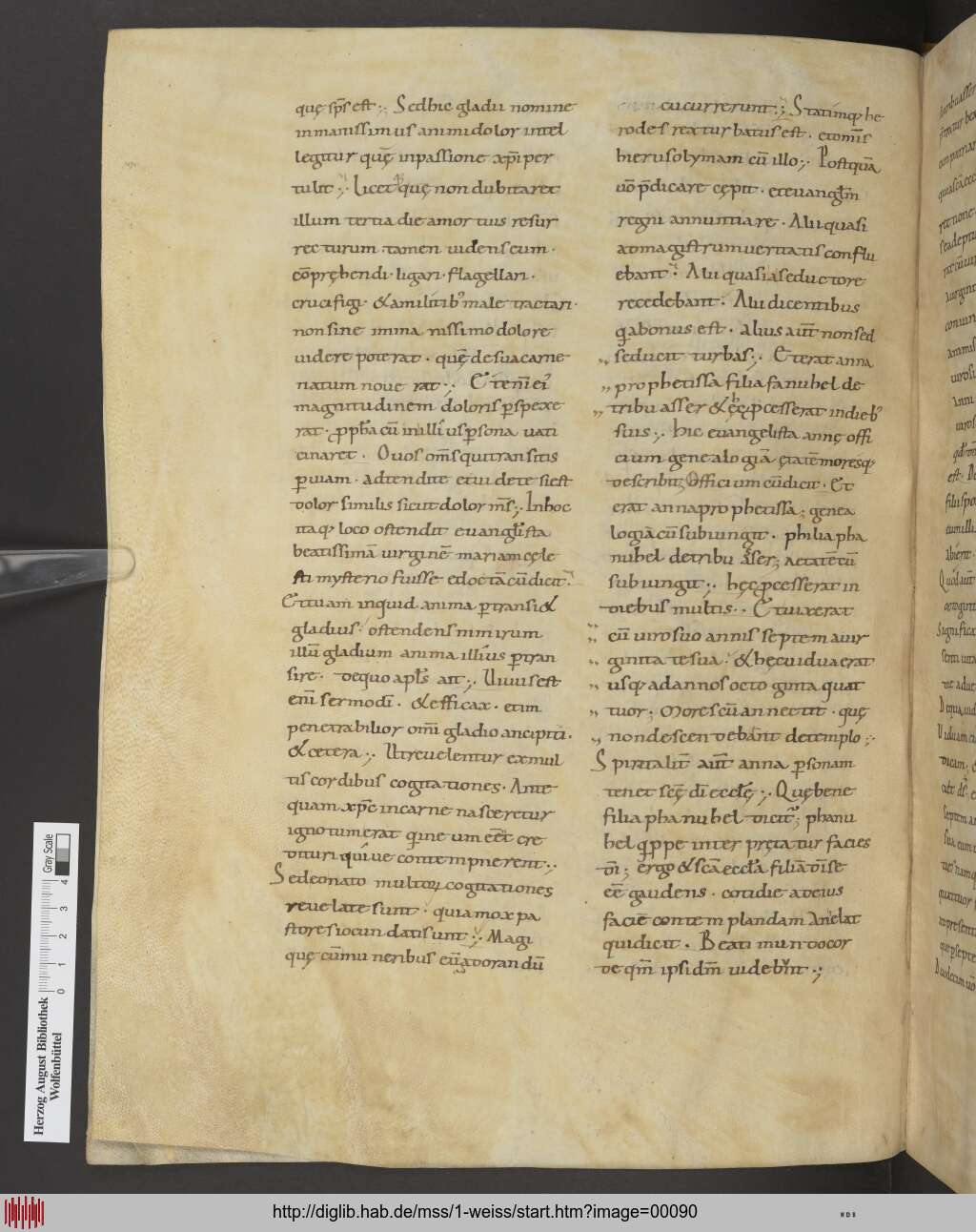 http://diglib.hab.de/mss/1-weiss/00090.jpg