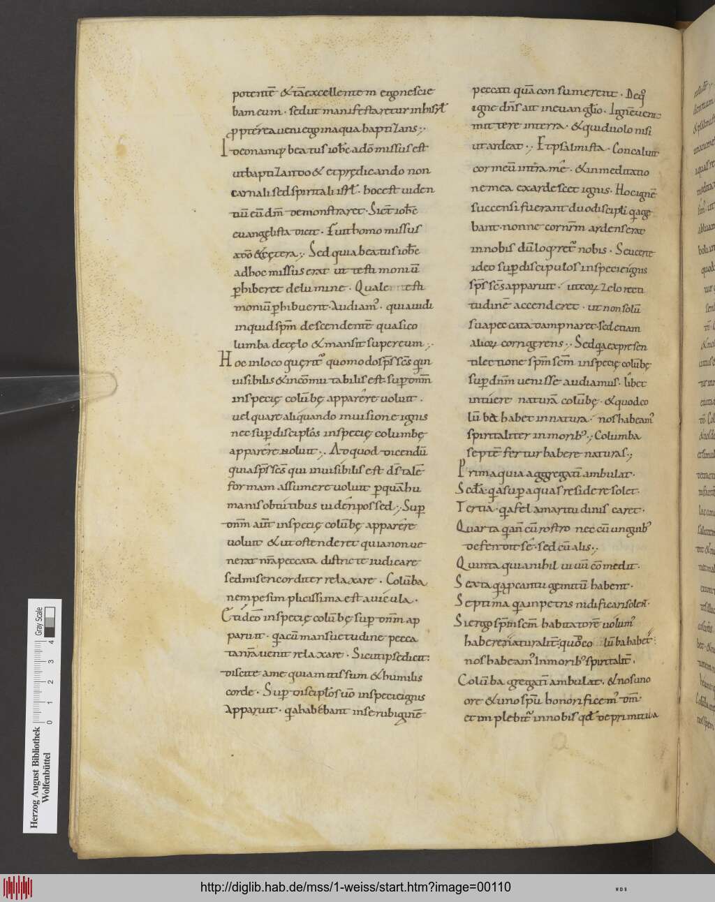 http://diglib.hab.de/mss/1-weiss/00110.jpg