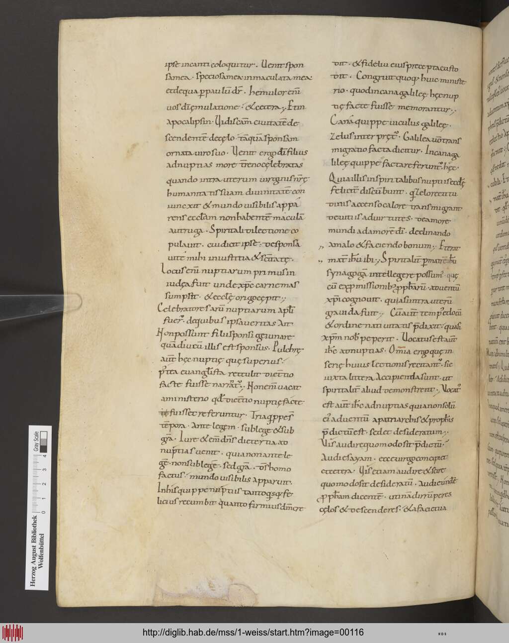 http://diglib.hab.de/mss/1-weiss/00116.jpg