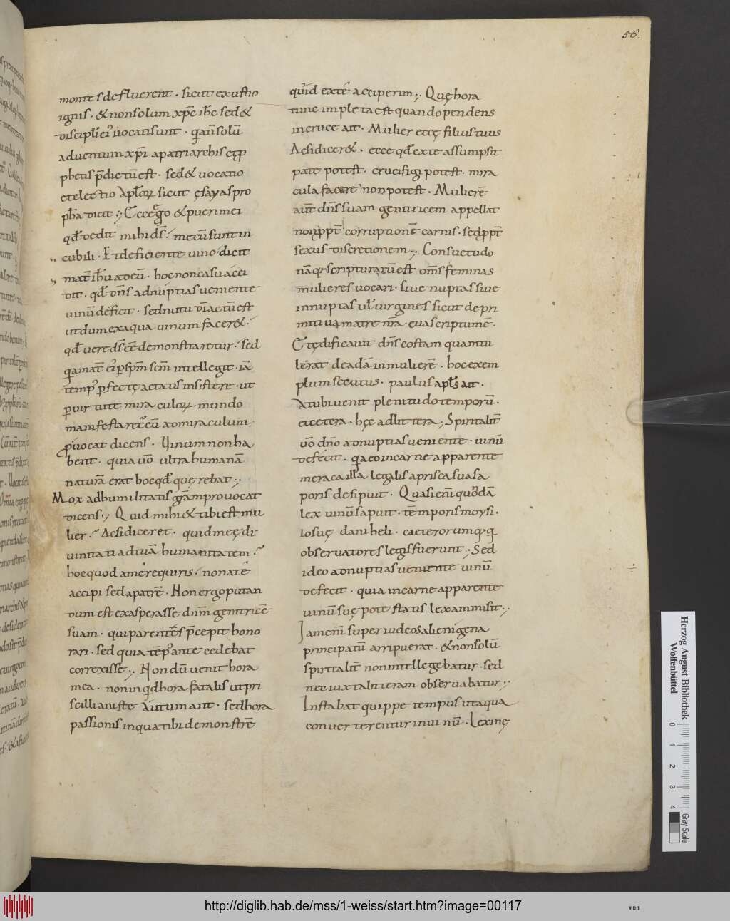 http://diglib.hab.de/mss/1-weiss/00117.jpg