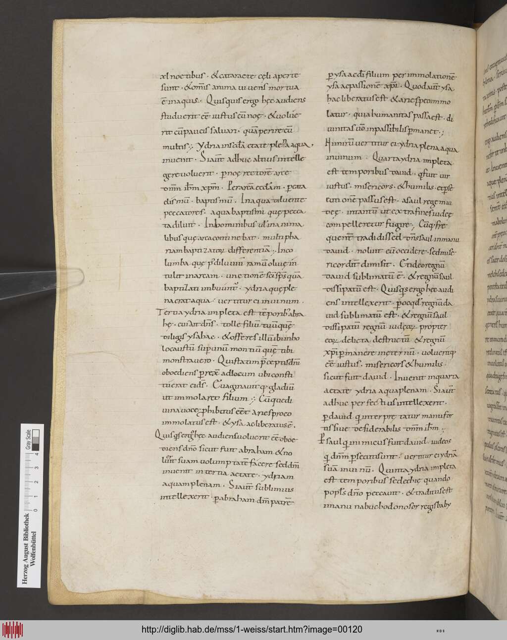 http://diglib.hab.de/mss/1-weiss/00120.jpg