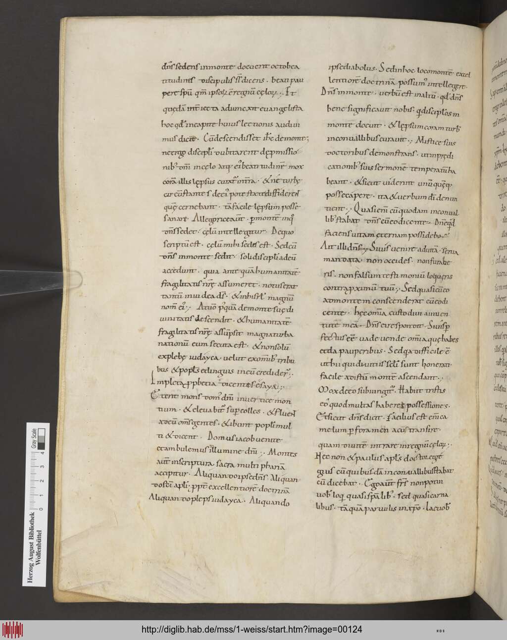 http://diglib.hab.de/mss/1-weiss/00124.jpg