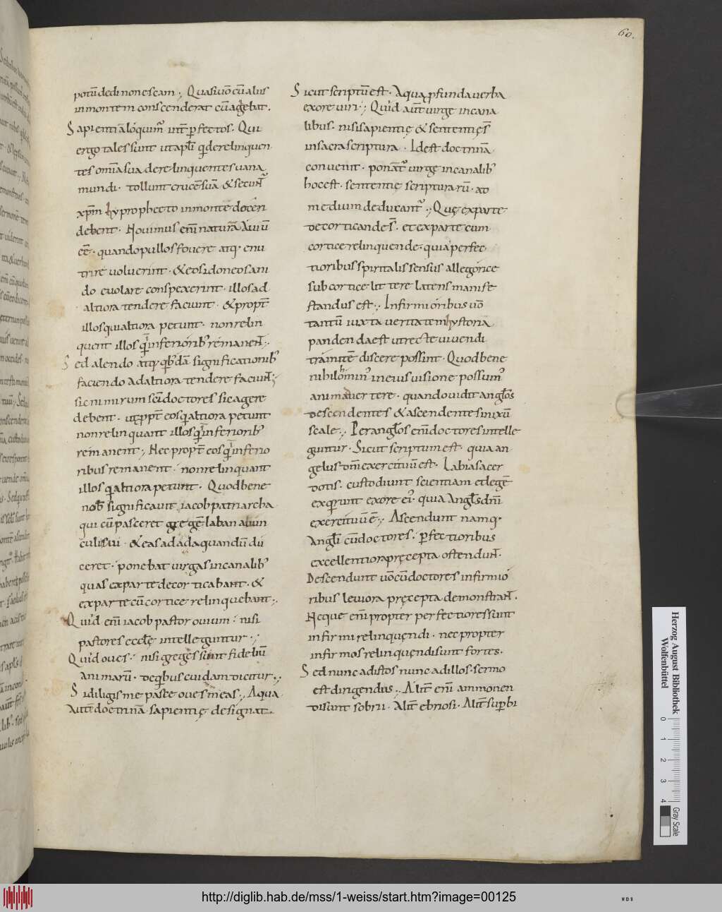 http://diglib.hab.de/mss/1-weiss/00125.jpg