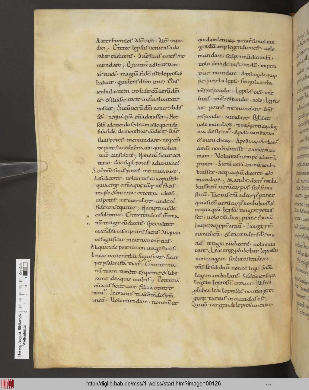 http://diglib.hab.de/mss/1-weiss/00126.jpg